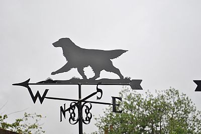 Flat Coat Retriever weathervane